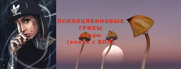 амф Алексин