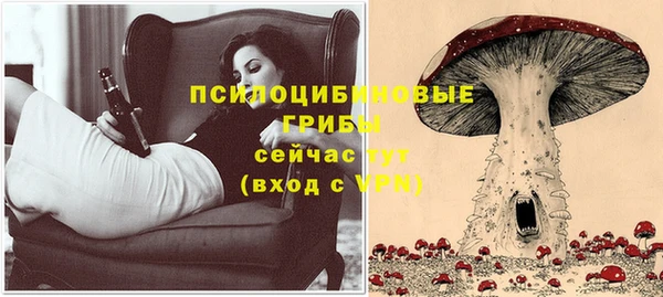 амф Алексин