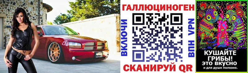 закладка  Александровское  Галлюциногенные грибы мицелий 
